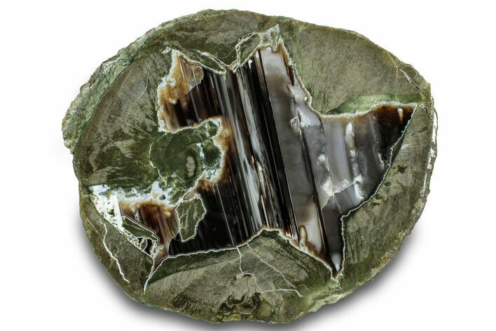 Polished Killer Green Thunderegg Half w/ Waterline Agate - Oregon #302926